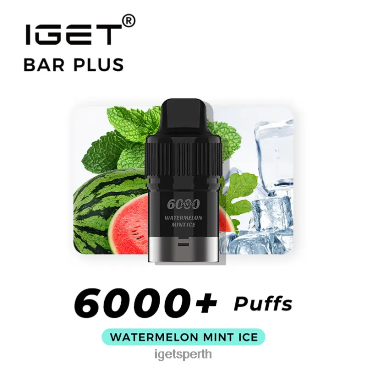 Nicotine Free IGET Bar Plus Pod 6000 Puffs 40Z8381 Watermelon Mint Ice
