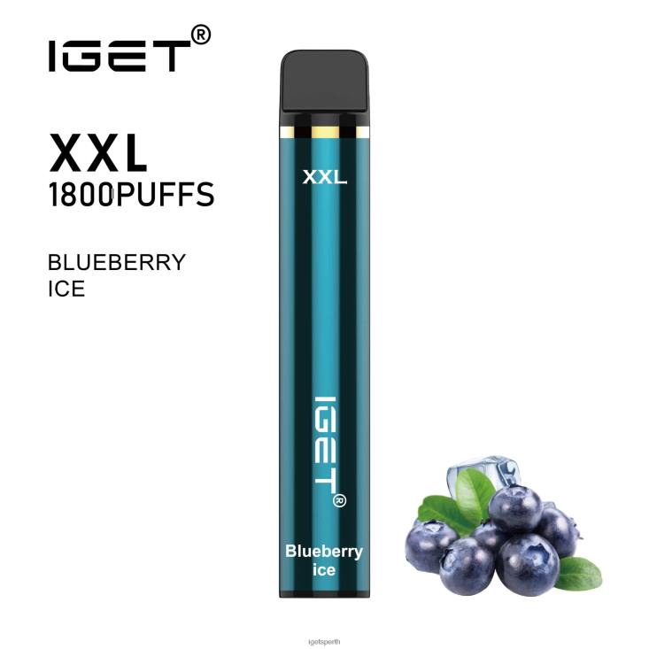 IGET XXL 40Z846 Blueberry Ice