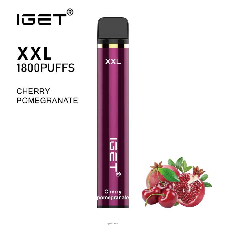 IGET XXL 40Z850 Cherry Pomegranate