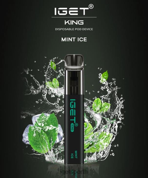 IGET KING - 2600 PUFFS 40Z8449 Mint Ice