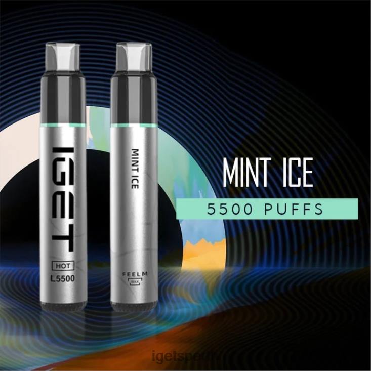 IGET HOT - 5500 PUFFS 40Z8436 Mint Ice